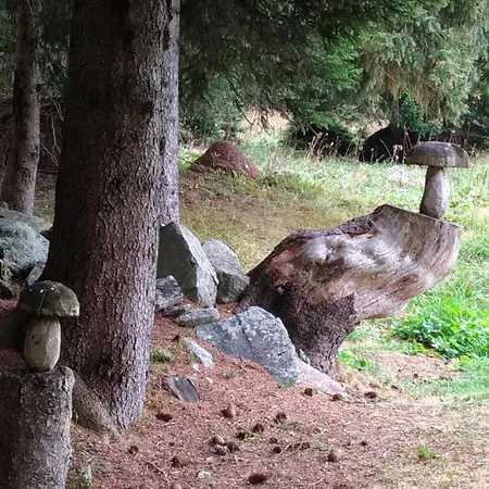 Vero Rustico Alpino Madesimo